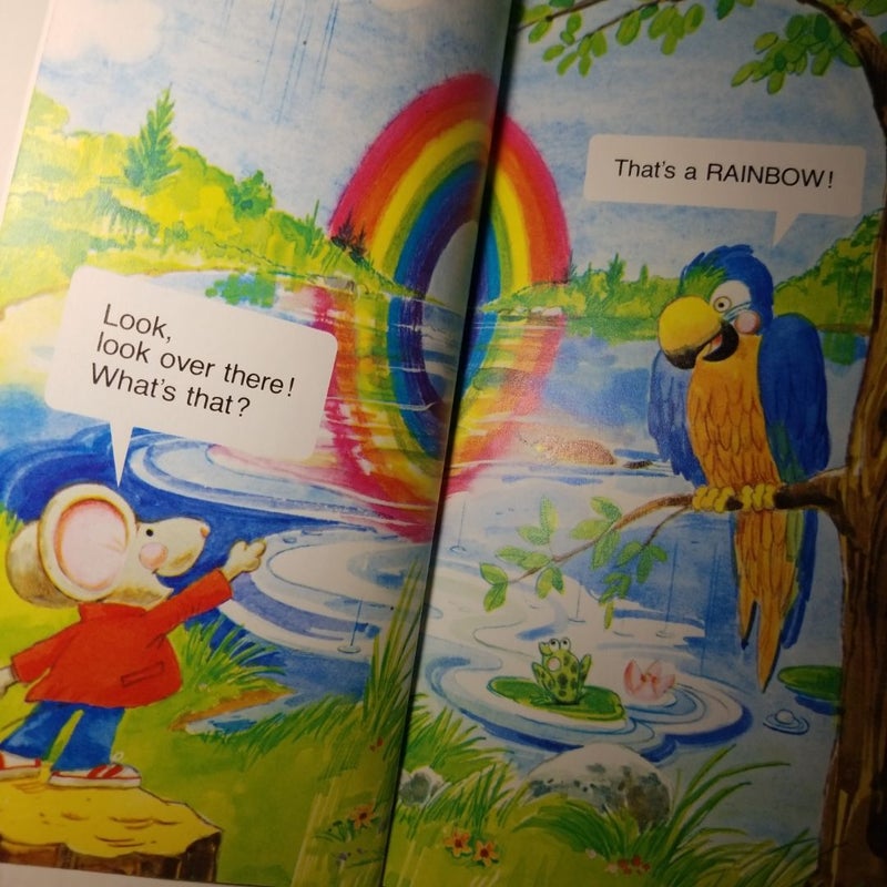 What is a Rainbow?