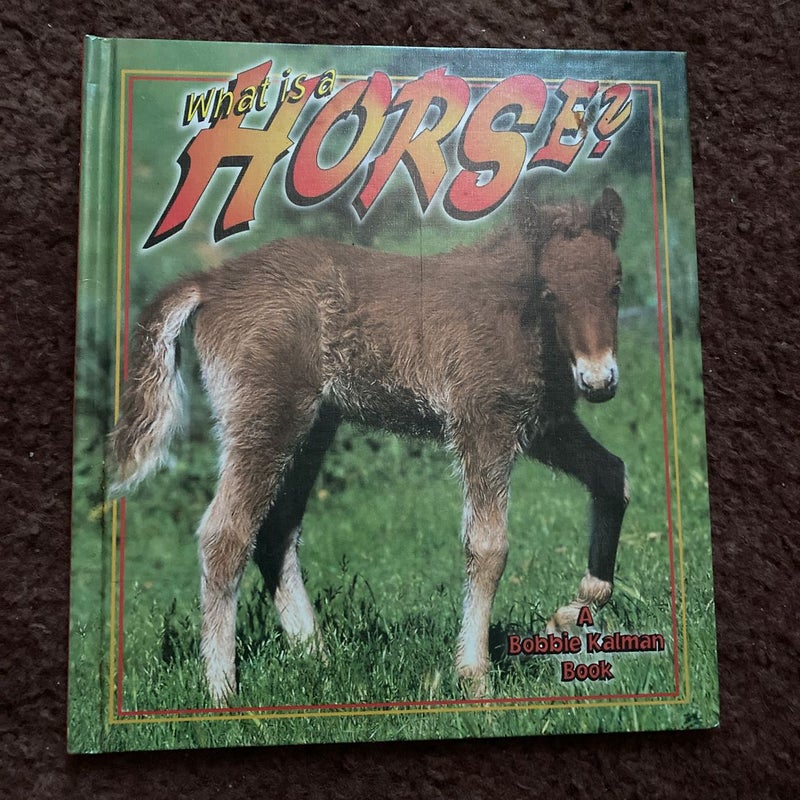 What Is a Horse?