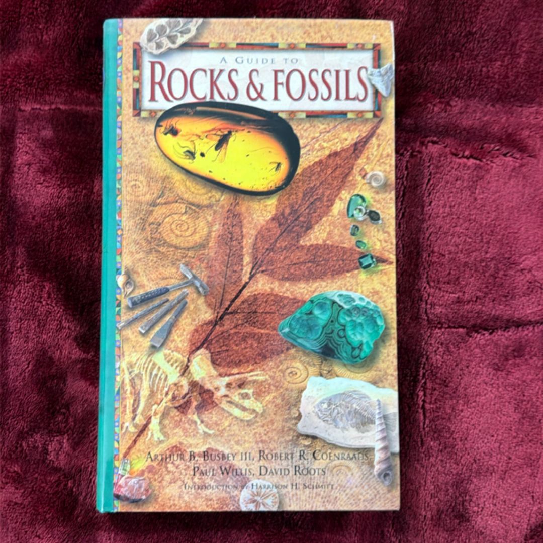 Rocks and Fossils