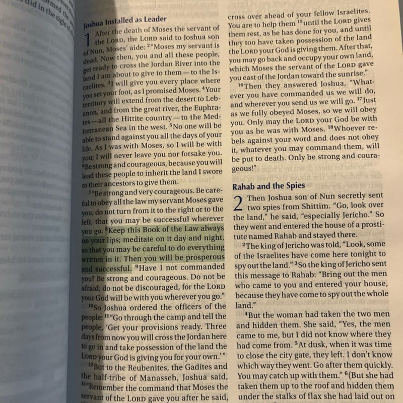 The NIV Color Code Bible