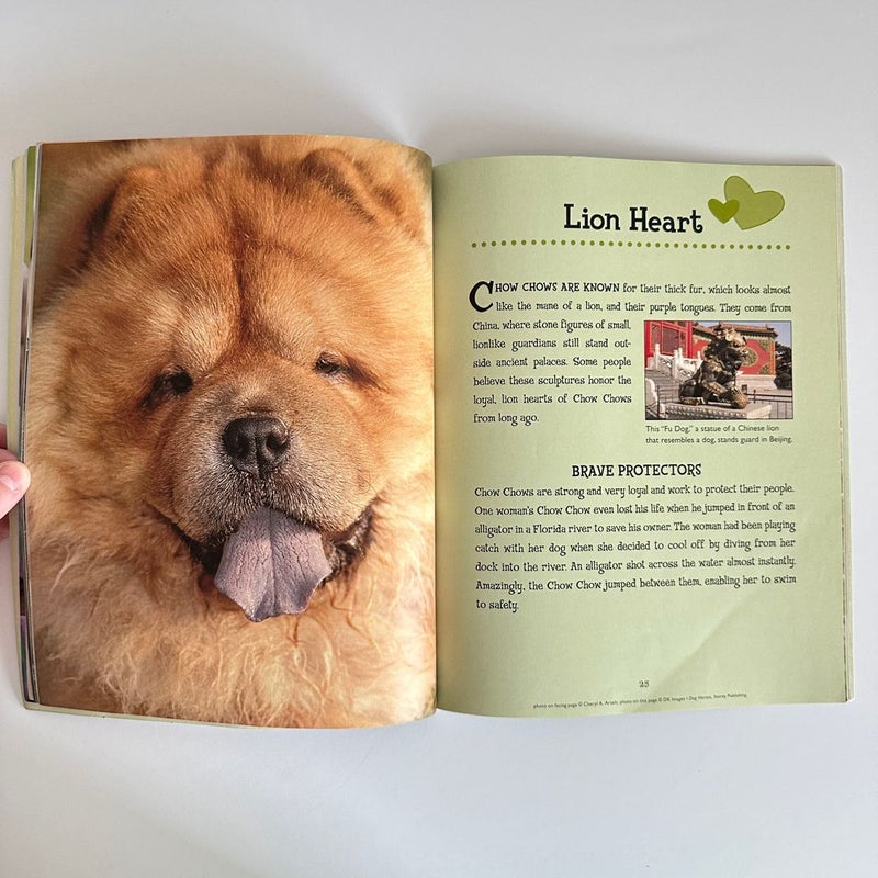 Dog Heroes, Tales of Dramatic Rescues