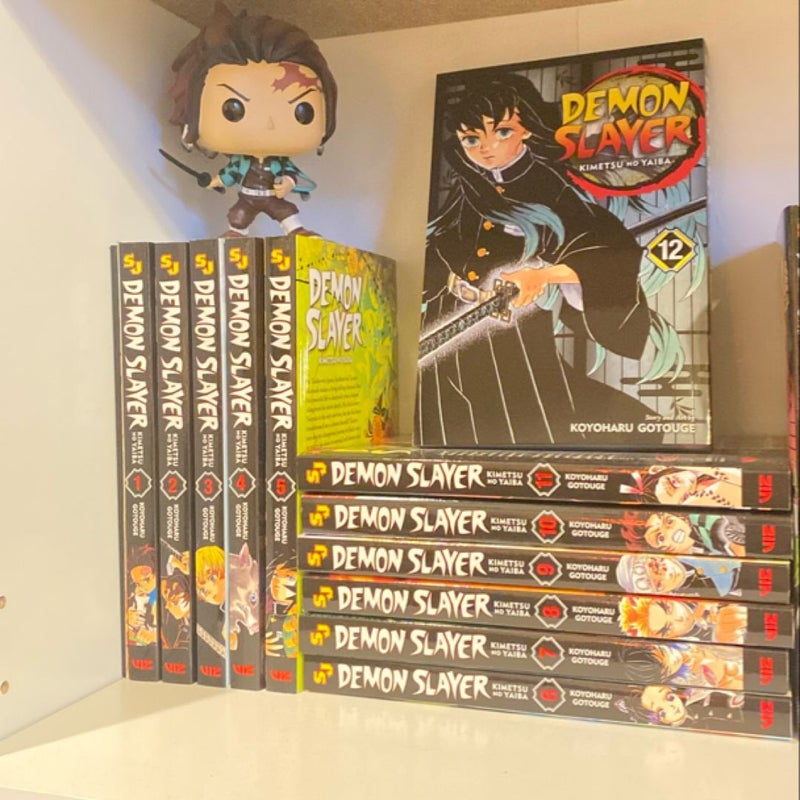 demon slayer complete set