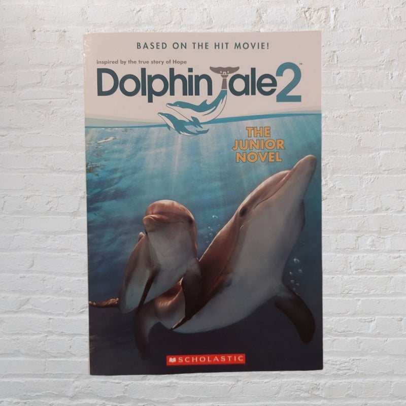 Dolphin Tale 2