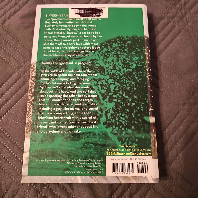 Every Little Thing in the World