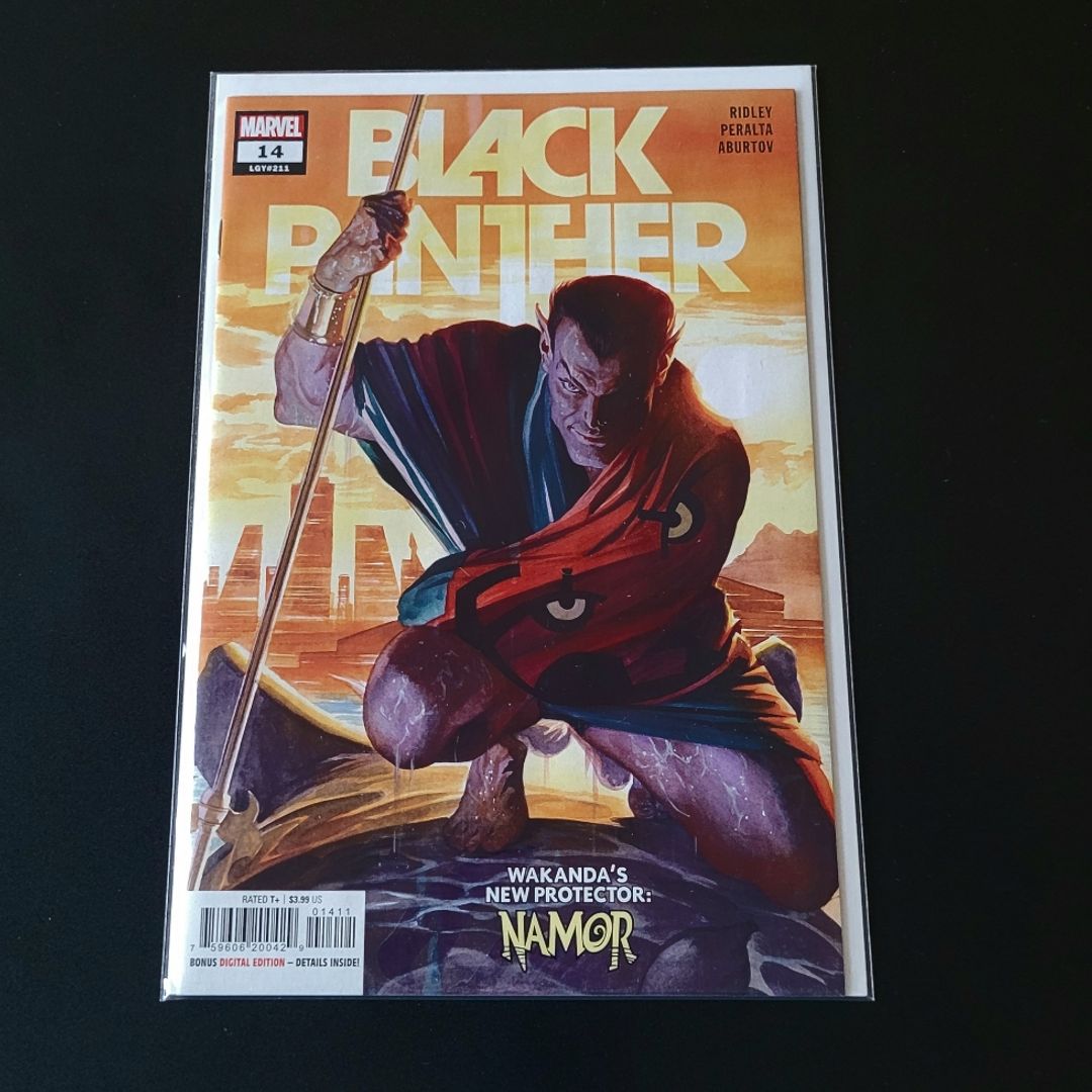 Black Panther #14