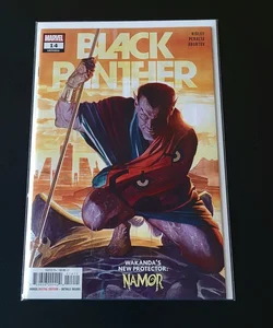 Black Panther #14