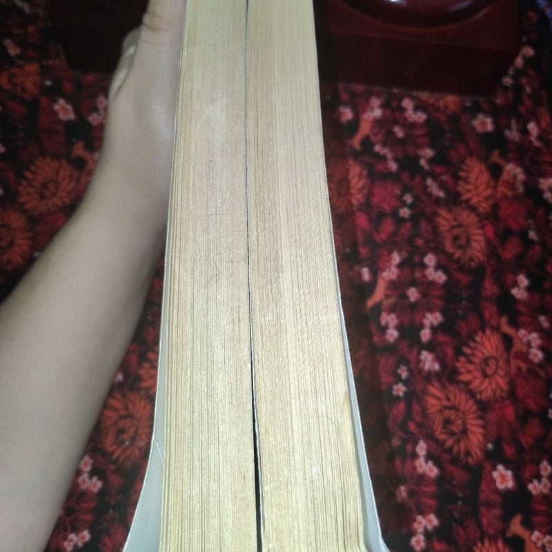 YA fantasy lot of two. House of night: Mark & Chosen 