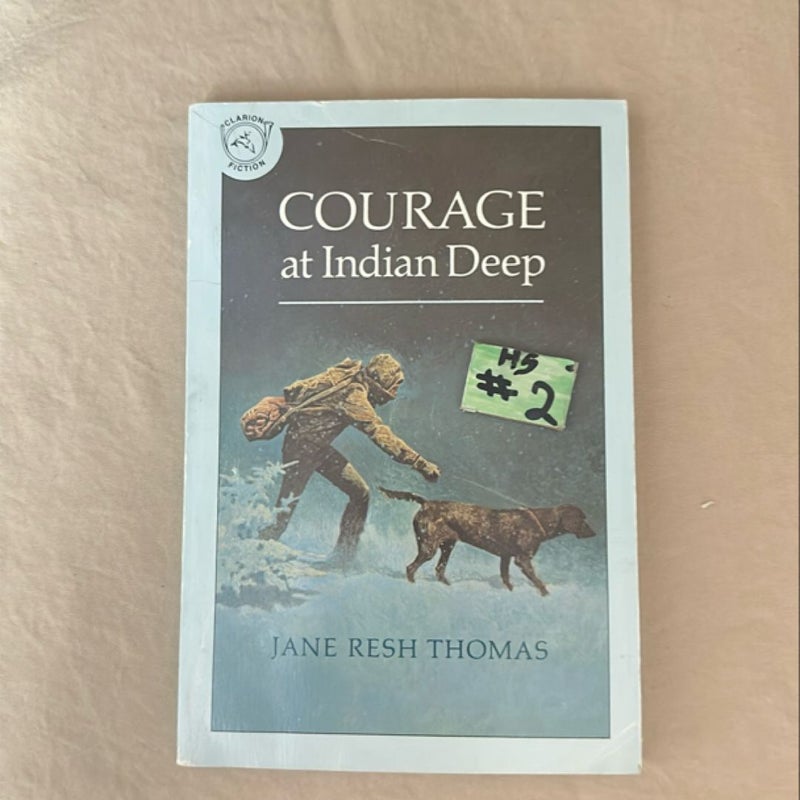 Courage at Indian Deep