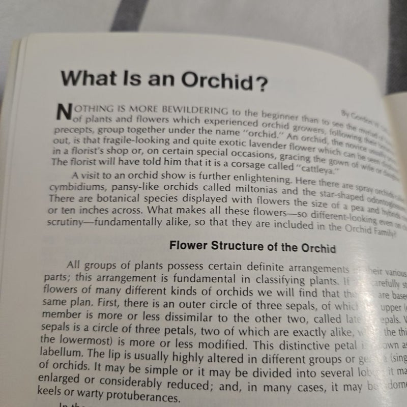 Your first Orchids