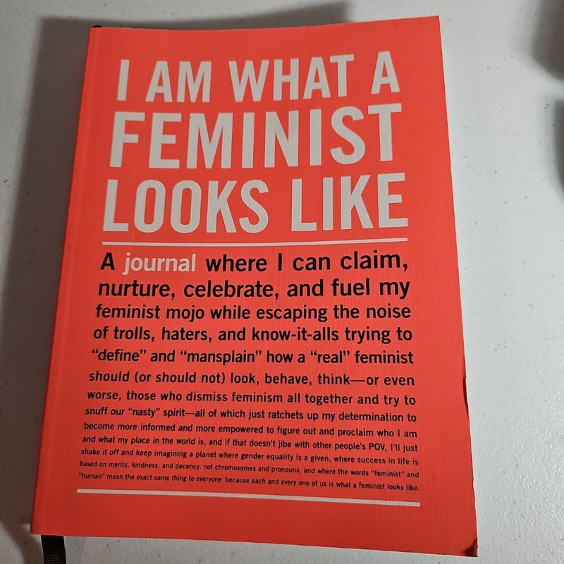 I am what a Feminist looks like