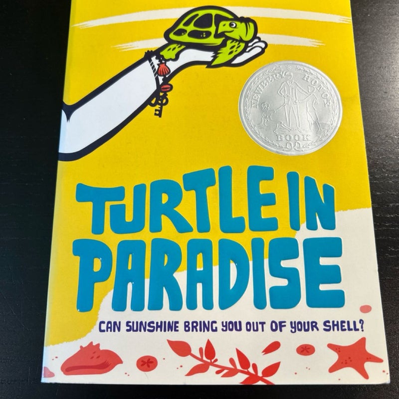 Turtle in Paradise