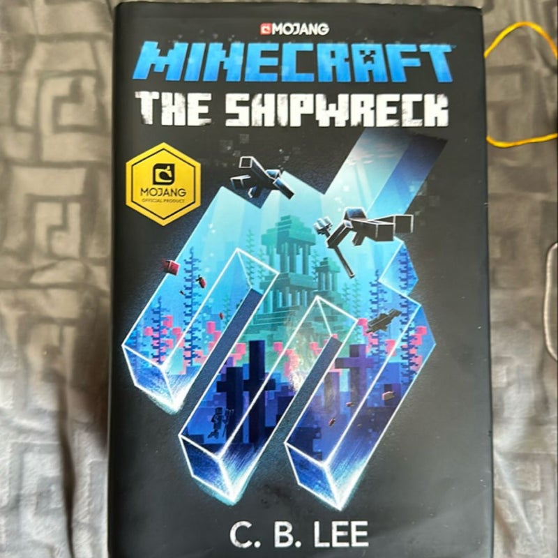 Minecraft: the Shipwreck