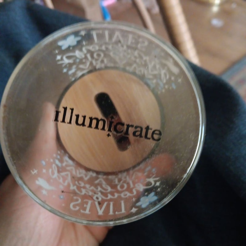 Illumicrate TBR Jar