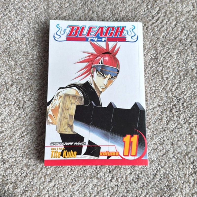 Bleach, Vol. 11