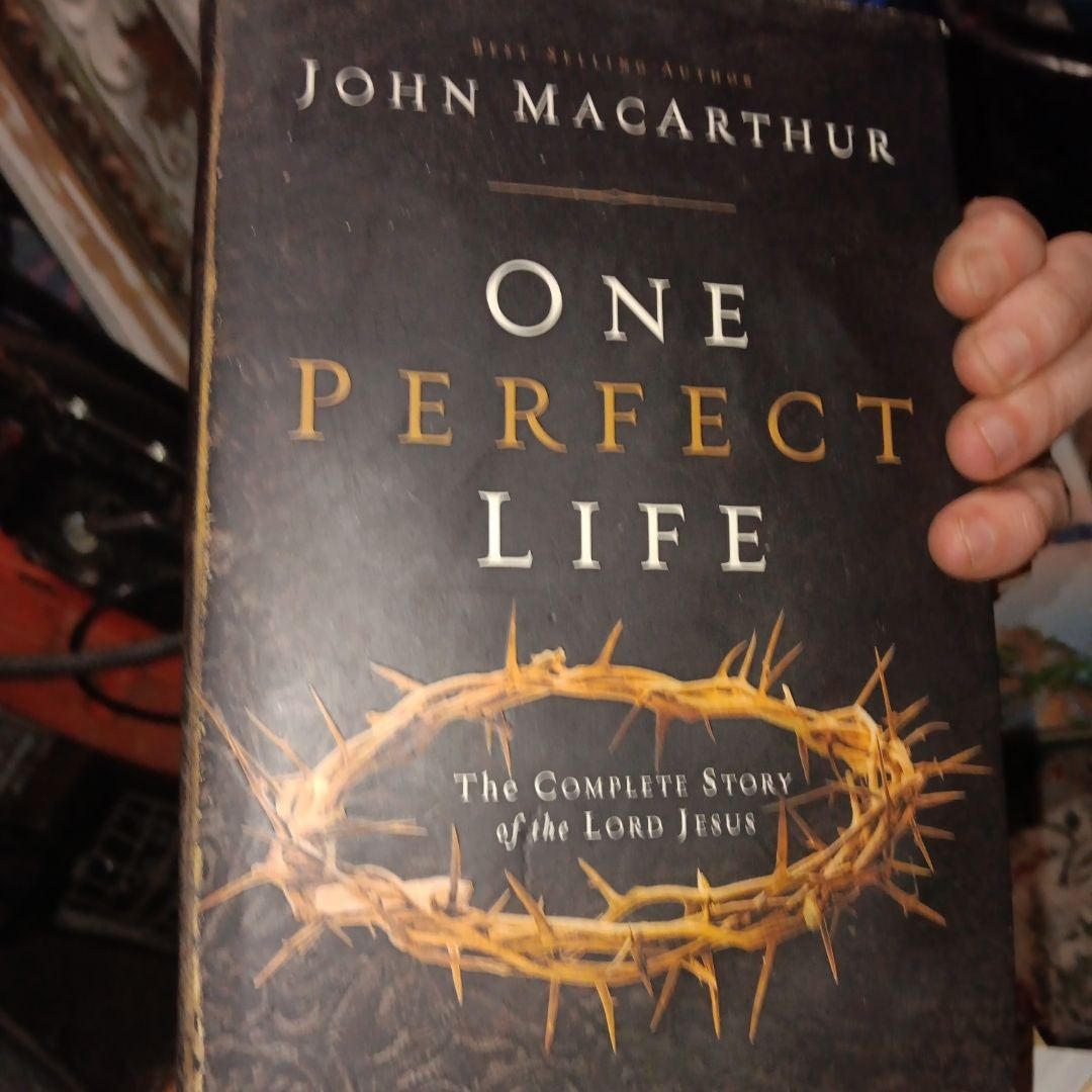 One Perfect Life