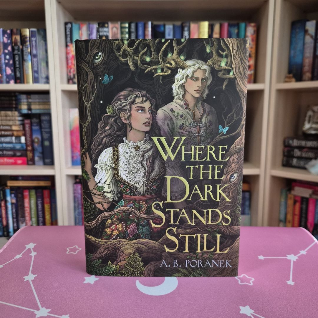 Where the Dark Stands Still