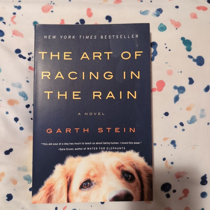 The Art of Racing in the Rain