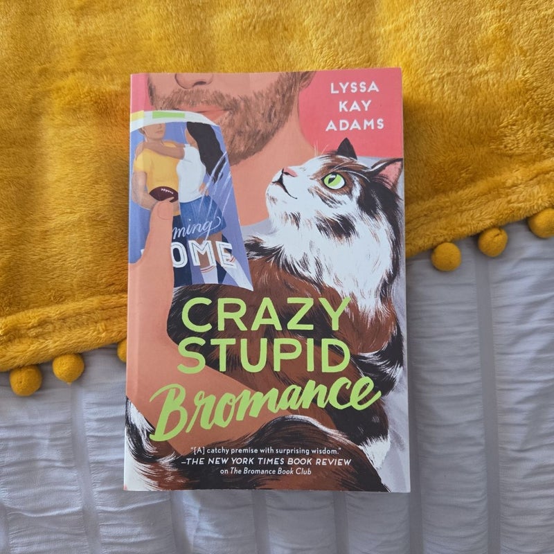 Crazy Stupid Bromance