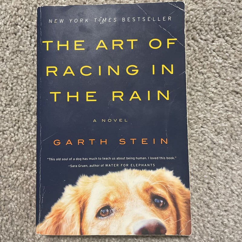 The Art of Racing in the Rain