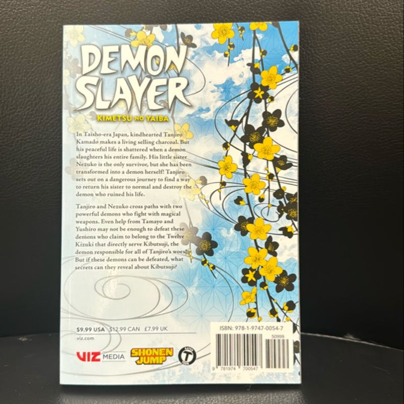 Demon Slayer: Kimetsu No Yaiba, Vol. 3