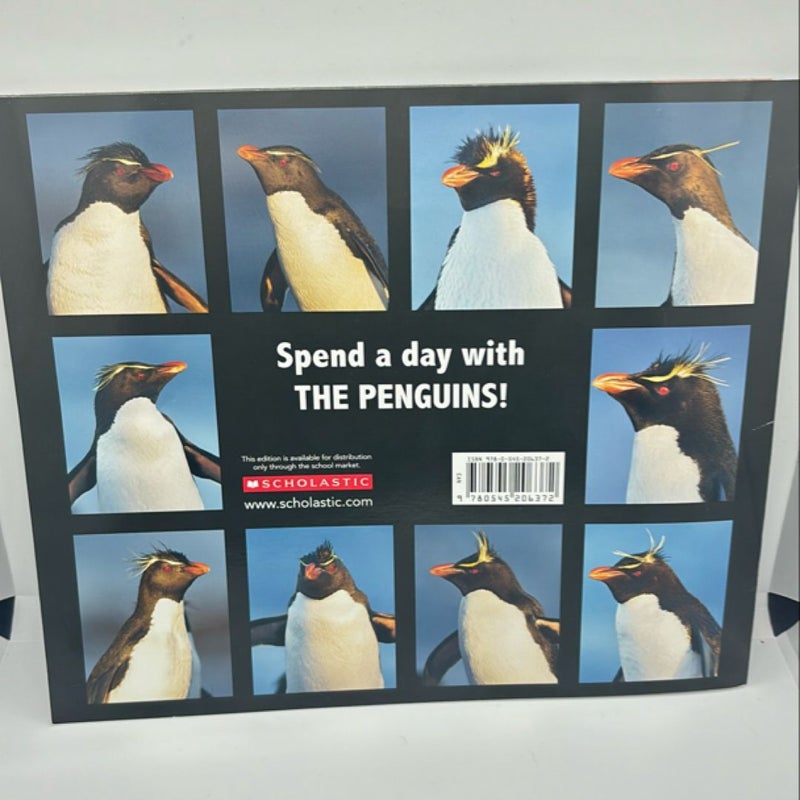 Penguin Day