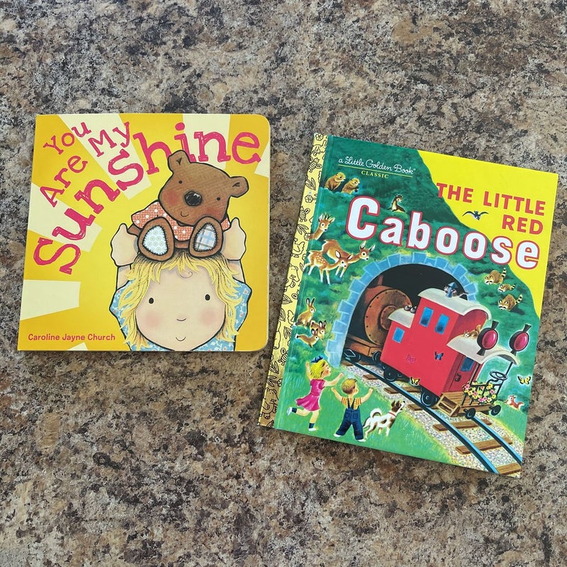 Misc Baby/Toddler Book Bundle (17)