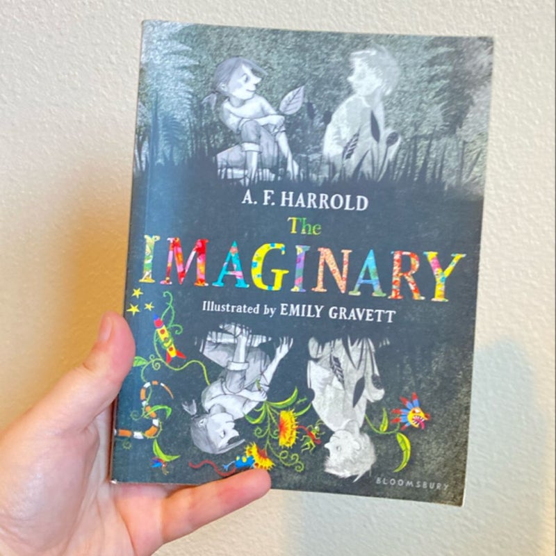 The Imaginary