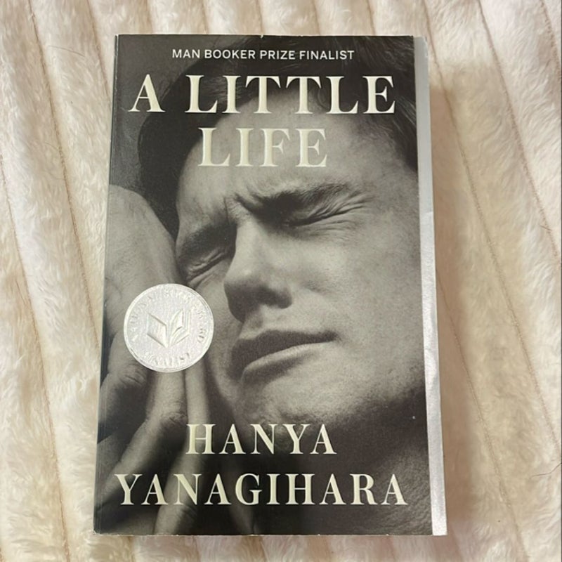 A Little Life