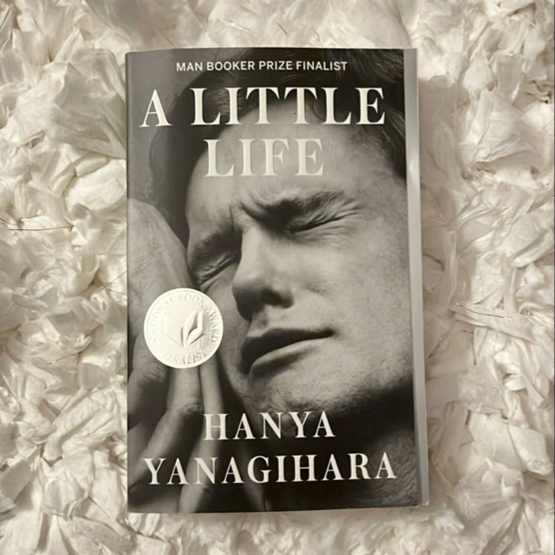 A Little Life