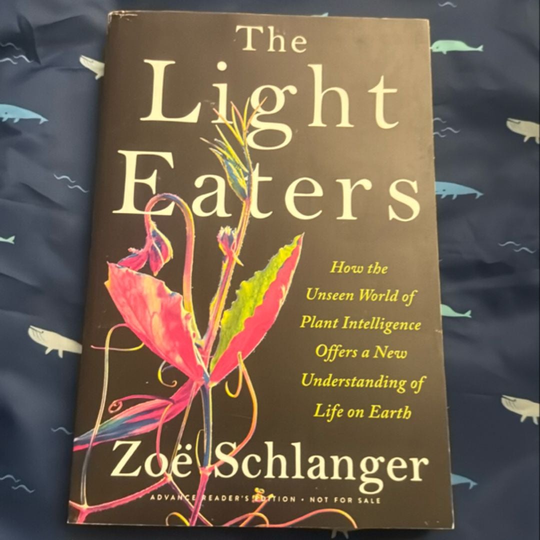 The Light Eaters