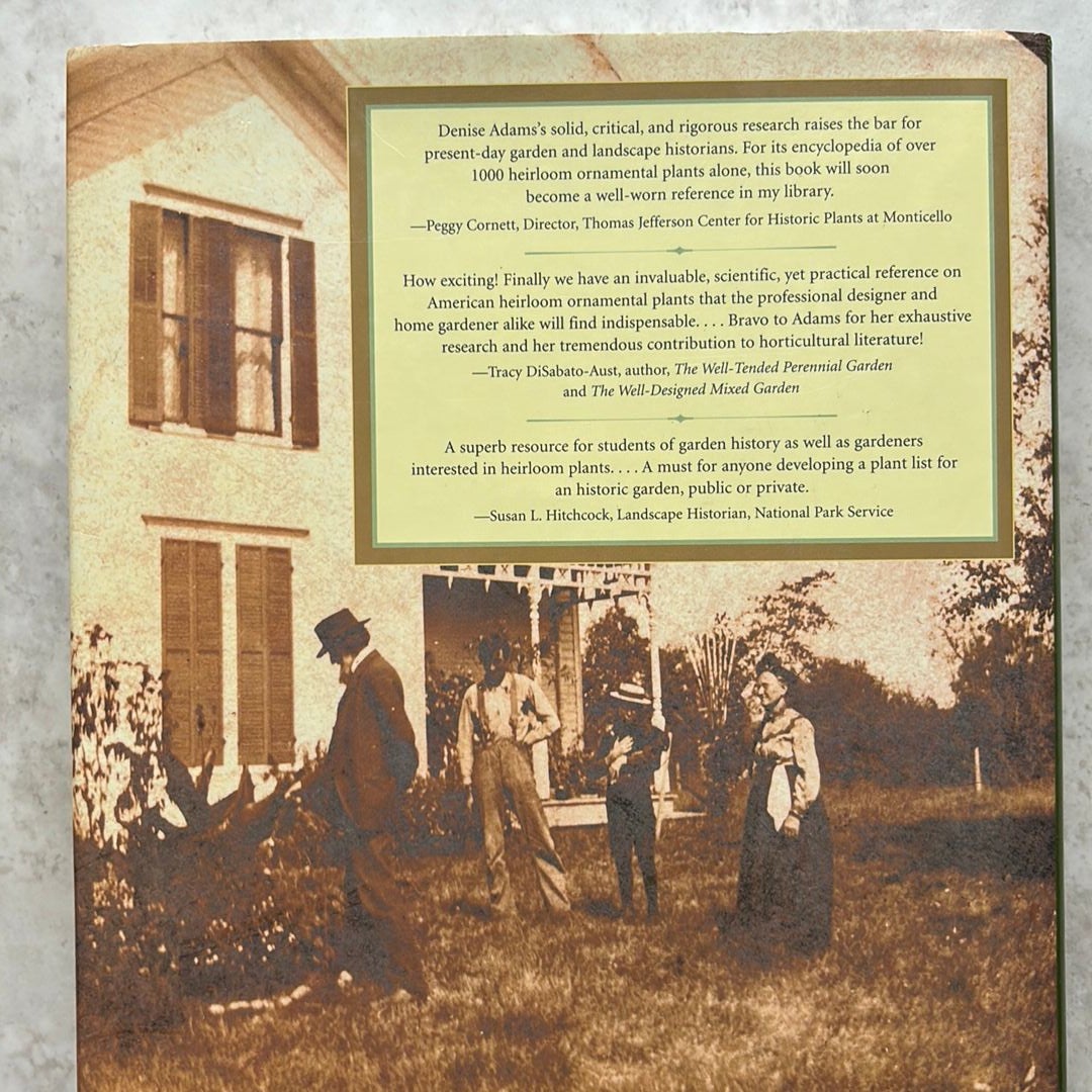 Wiles Synonym Cheapest Outlet