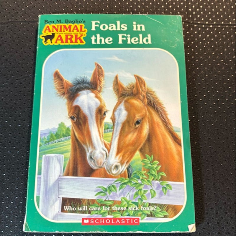 Foals in the Field