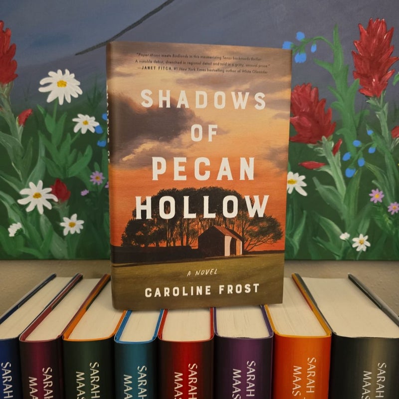 Shadows of Pecan Hollow