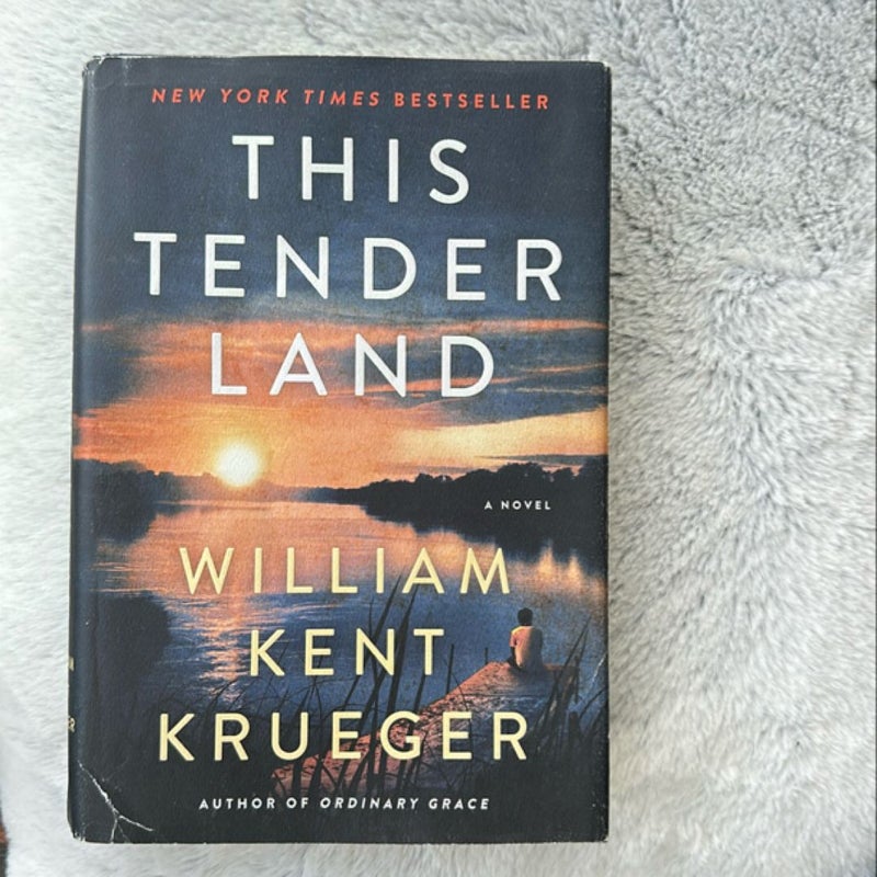 This Tender Land