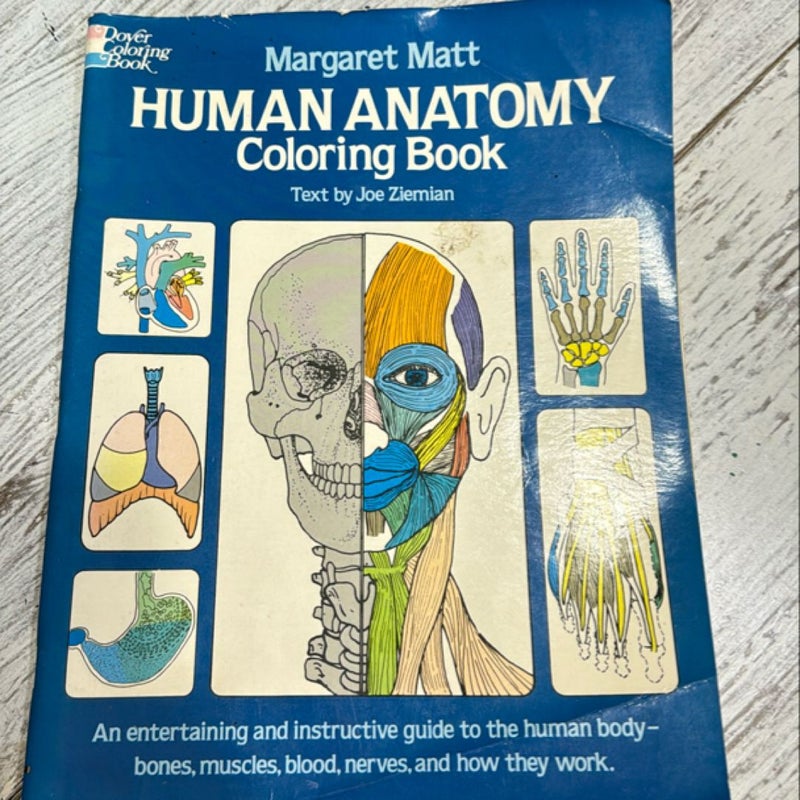 Human Anatomy