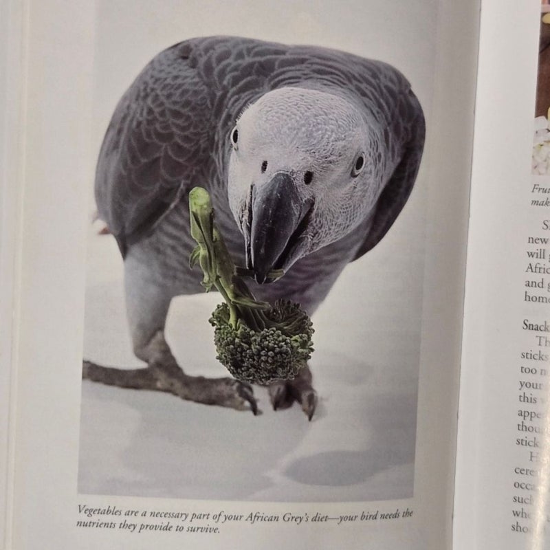 African Gray Parrots