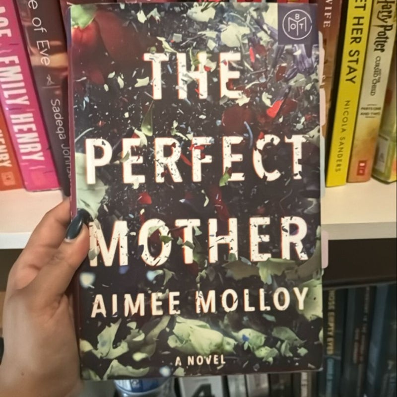 The Perfect Mother