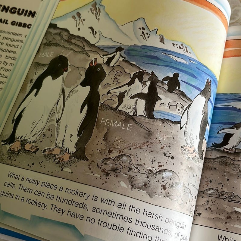 Penguins!