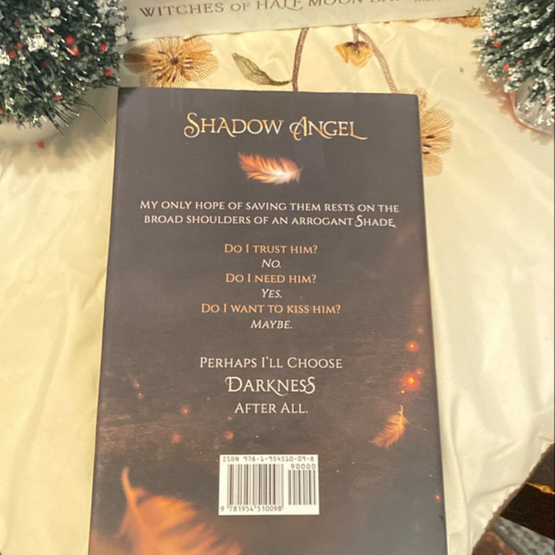 Shadow Angel Book One