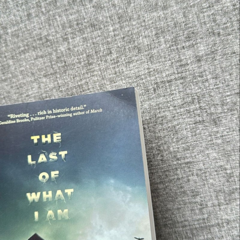 The Last of What I Am
