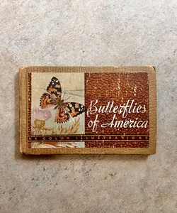 Butterflies of America (1934)