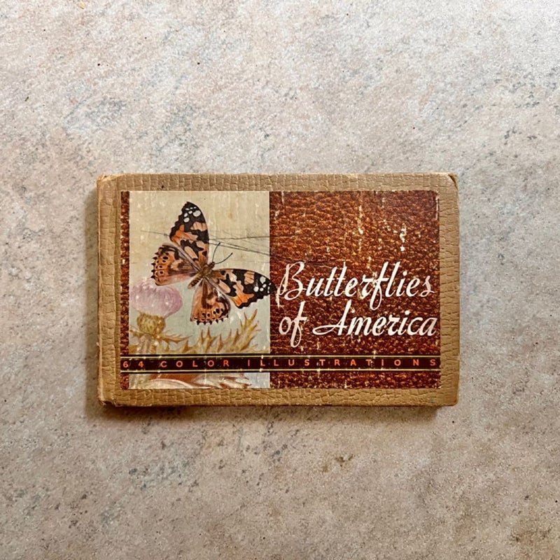 Butterflies of America (1934)