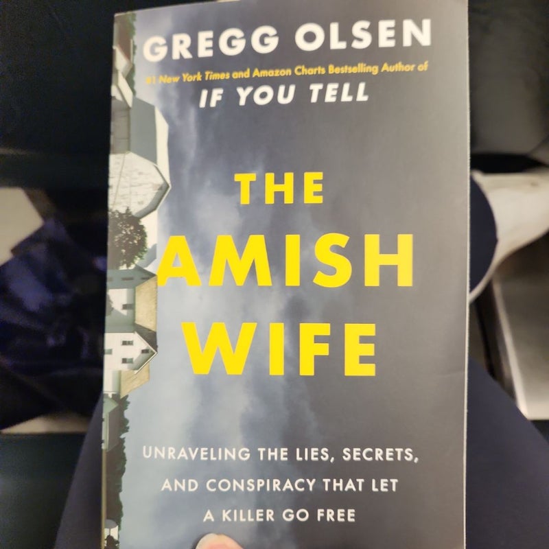 The Amish Wife