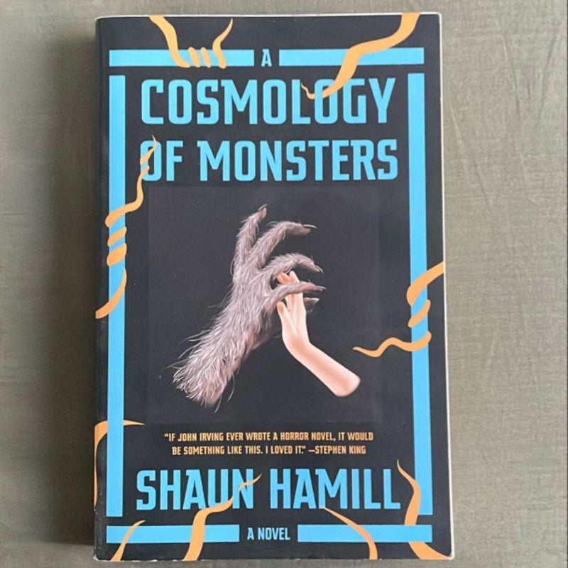 A Cosmology of Monsters