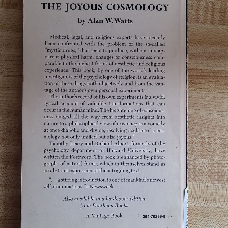 The Joyous Cosmology