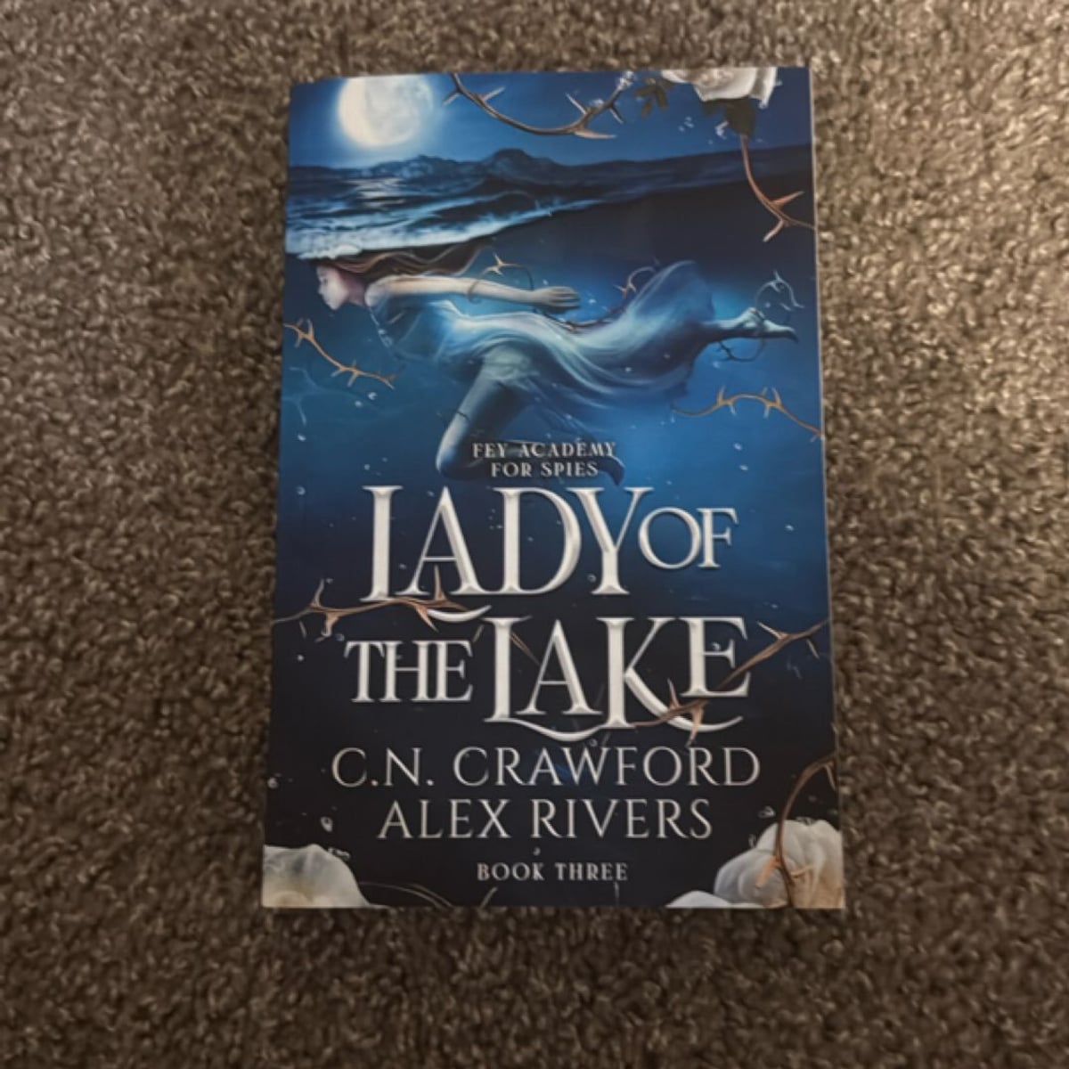 Lady of the Lake by Alex Rivers, C. N. Crawford
