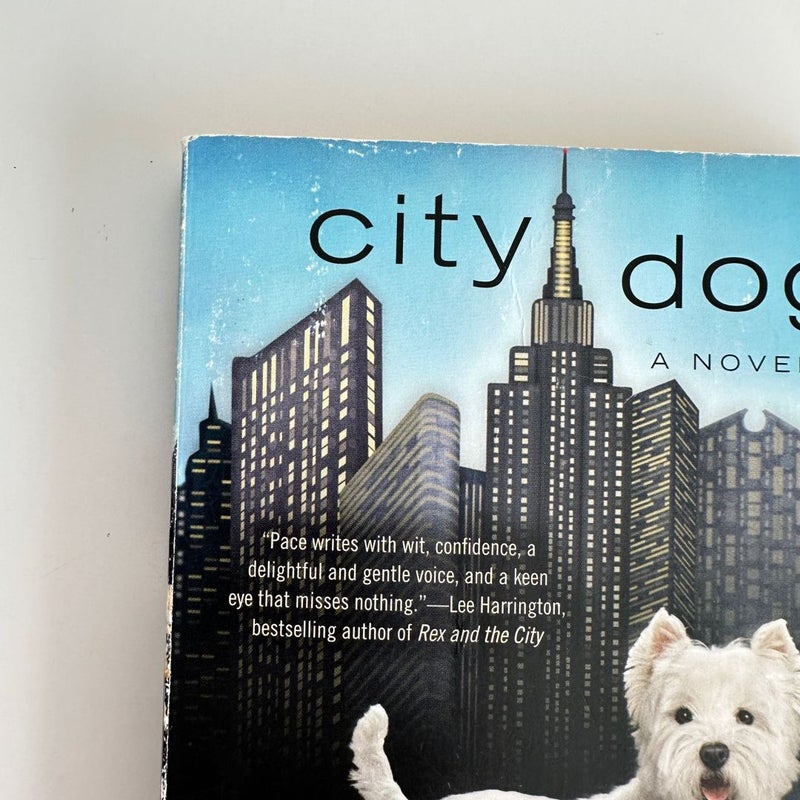 City Dog