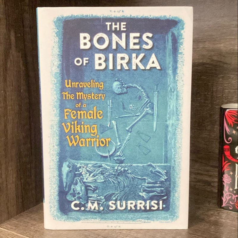 The Bones of Birka