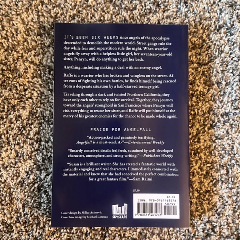 Angelfall