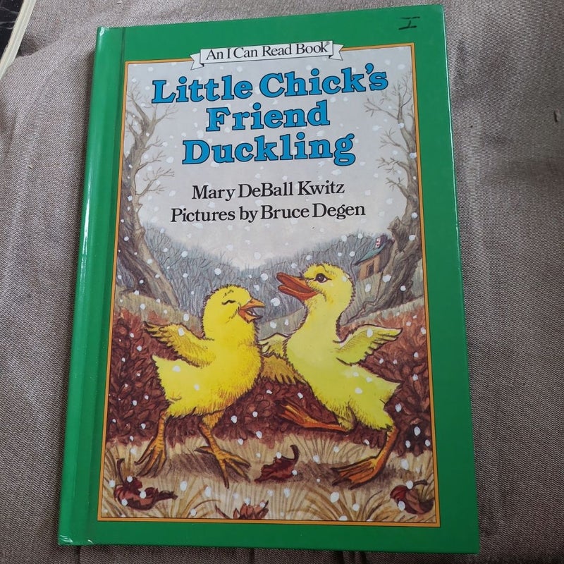 Lottle Chick's Friend Duckling